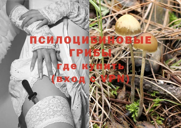 марки nbome Белокуриха